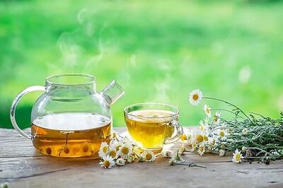 Chamomile Tea: Five Health Benefits of Babune ka Phal