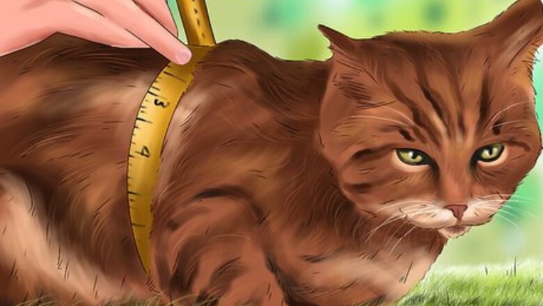 How to Give Your Cat Cozy Sleeping Spaces