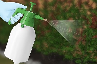 How to Clean a Garden Sprayer
