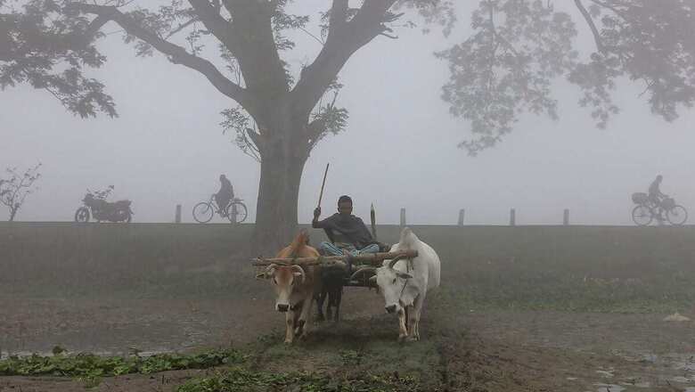 Cold Wave Conditions Prevail in North India; Minimum Temperature in Delhi Drops to 9.6C