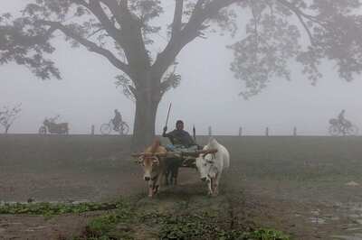 Cold Wave Conditions Prevail in North India; Minimum Temperature in Delhi Drops to 9.6C