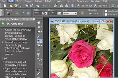 How to Create a Transparent PNG File With Paint Shop Pro