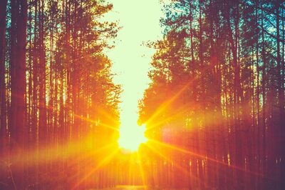 Aaj Ka Panchang, December 29, 2023: Tithi, Vrat, Rahu Kaal, and Other Details