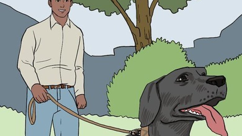 How to Treat a Panting Dog