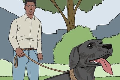 How to Treat a Panting Dog