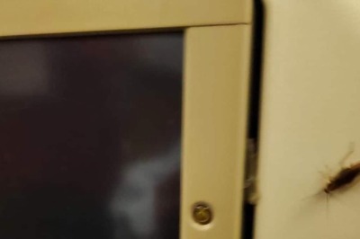 'Broken Seats And Cockroaches': UN Diplomat Slams Air India For 'Poor Services'