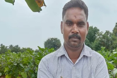 In Tamil Nadu, Brinjal Farmers Tackle Crop Disease With Horticulture Department's Guidance