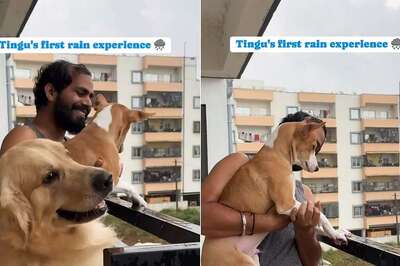 Bengaluru Man Records First Rain Experience of His Furry Friend, Video is Too Adorable