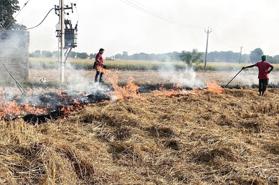 ‘No Prosecution So Far…’: SC Raps Punjab, Haryana Over No Action Against Stubble Burning