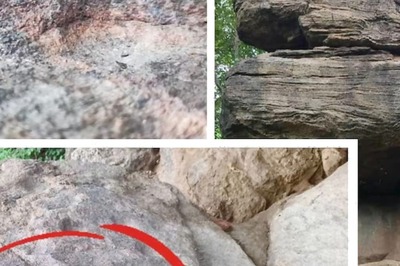 Archaeologists Discover 4000-year-old Ancient Stone Cupules In Tamil Nadu's Dindigul