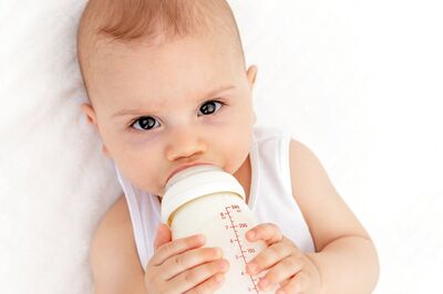 Study Reveals How Young Children Start to Associate Names with Things