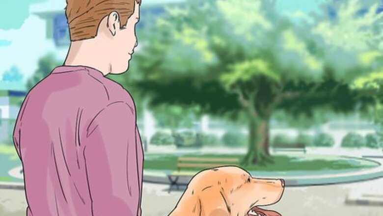 How to Enhance Your Dog's Recall