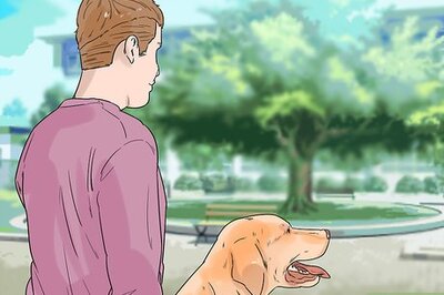 How to Enhance Your Dog's Recall
