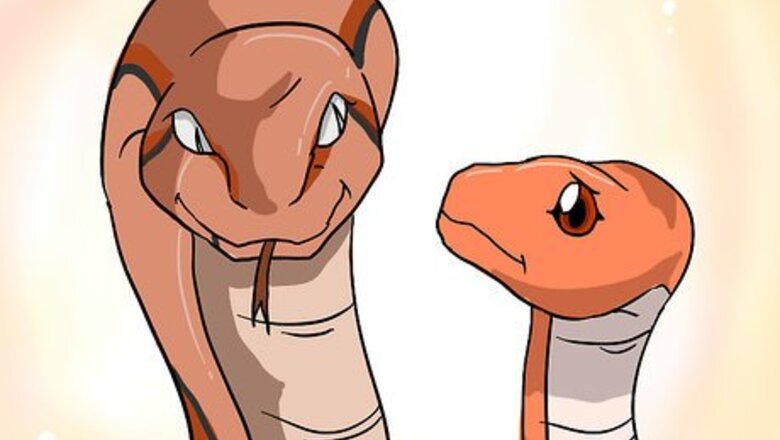 How to Choose Your First Pet Snake