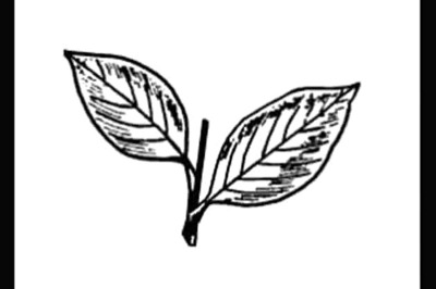 AIADMK demands continuation of free rice scheme in Puducherry