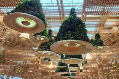 Bengaluru Airport's 'Terminal in A Garden' in Full Bloom, Goes International; T3 Planned, BIAL CEO Tells News18