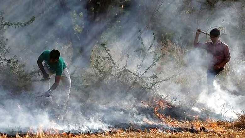 This Cost-effective Alternative to Crop Burning is Eco-friendly Also and May Help Control Air Pollution