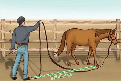 How to Train a Horse to Drive