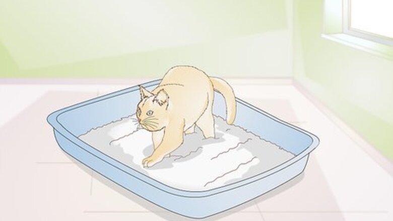How to Keep Cat Litter from Tracking
