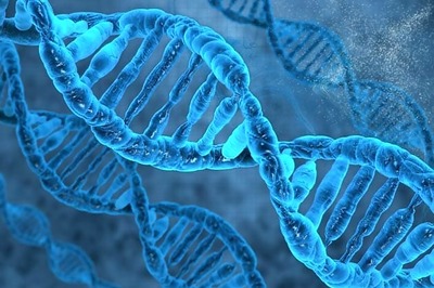 World's largest cloning factory under construction in China raises scientific, ethical concerns