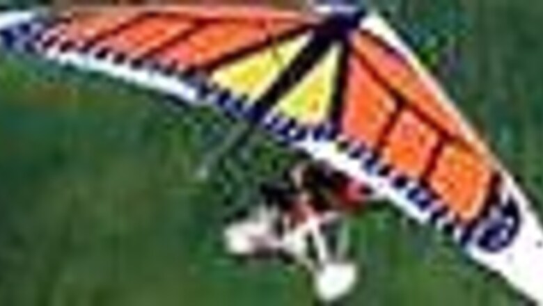 Hang glider crash lands into tree