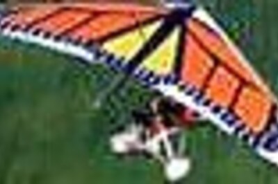 Hang glider crash lands into tree