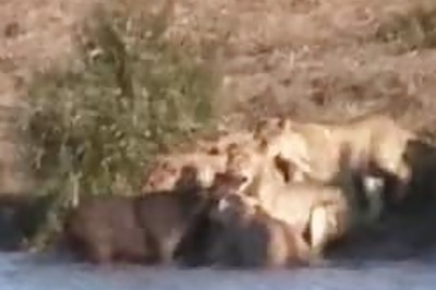 'Obama girl', Britney rule YouTube '07