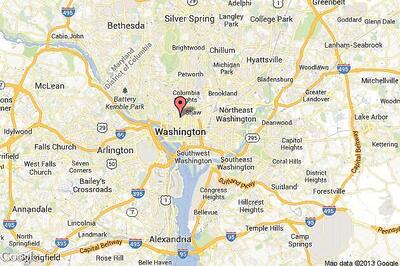 Scientists create glow-in-the-dark rabbits using transgenesis technique