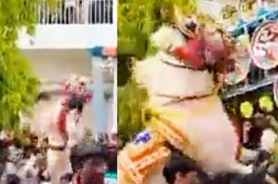 Horse Stomps Over Crowd During Wedding Procession in UP, IPS Officer Shares Video