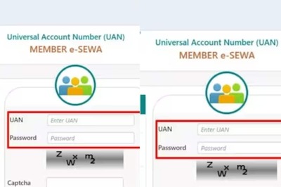 Lost Your UAN? EPFO Unveils Online Solution For Employees To Retrieve The Number