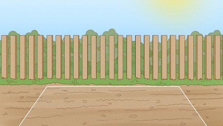 How to Plant and Care for a Ranunculus