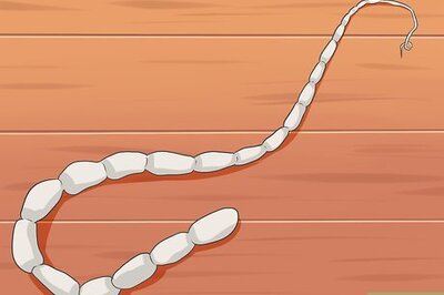 How to Treat Tapeworm in Cats