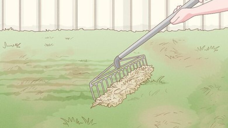 How to Restore Your Lawn