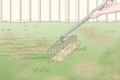 How to Restore Your Lawn