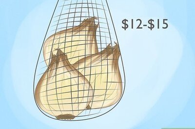 How to Grow a Hyacinth Bulb in Water