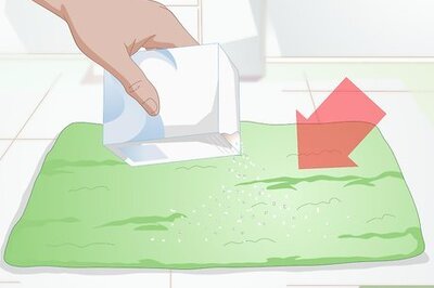 How to Eliminate Dog Smell