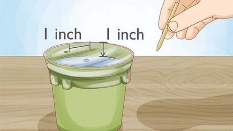 How to Propagate and Care for String of Turtles
