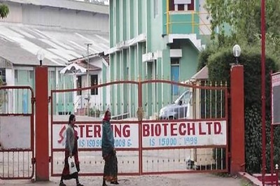 Hitesh Patel, Accused in Sterling Biotech Fraud of Rs 8,100 Crore, Nabbed In Albania