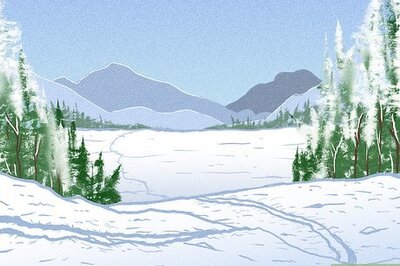 How to Cross Country Ski