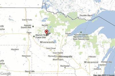 World's oldest-known wild black bear dies in US forest