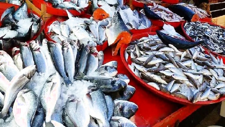 6 Fish To Avoid Eating As They Contain Harmful Substances