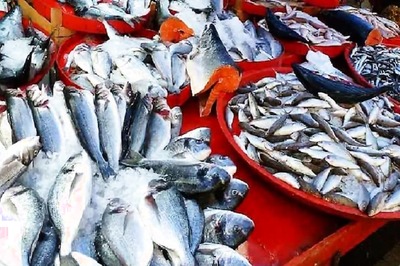 6 Fish To Avoid Eating As They Contain Harmful Substances
