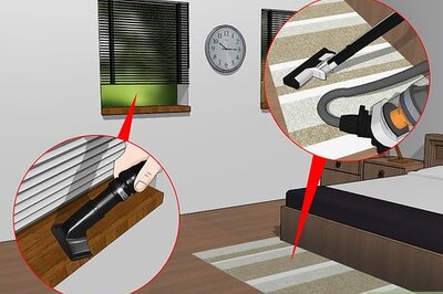 How to Get Rid of Clover Mites