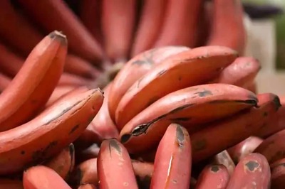 4 Reasons Why You Should Have Red Bananas