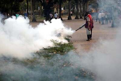 South Delhi Municipal Body Reveals Schools, Govt Offices Lag in Anti-mosquito Drive