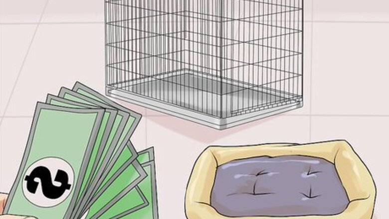 How to Have a Successful First Day with a New Dog