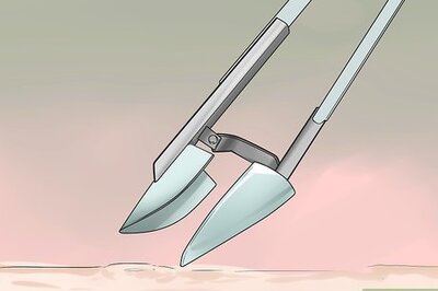 How to Dig Pacific Razor Clams