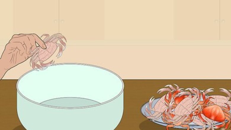 How to Eat Dungeness Crab