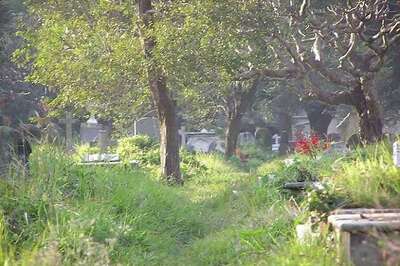 Shamli: Woman's body dugout from graveyard, sent for post-mortem