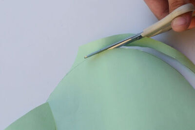 How to Make a Hat for a Dog